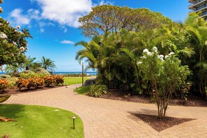 Property grounds - Ocean View steps from beach, dining, shopping 664 (Lahaina)