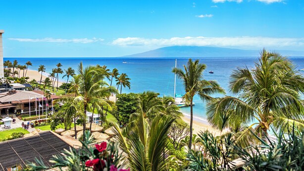 On the beach - Ocean View steps from beach, dining, shopping 857 (Lahaina)