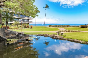 Property grounds - Ocean View steps from beach, dining, shopping 961 (Lahaina)