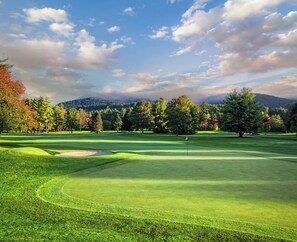 Golf - Cozy renovated townhome with mountain views in Sapphire, North Carolina!  (Sapphire)