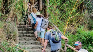 A group of people ascending stone steps in a natural setting with bamboo and vegetation. - Frama Nature Adventure (Rugarama)