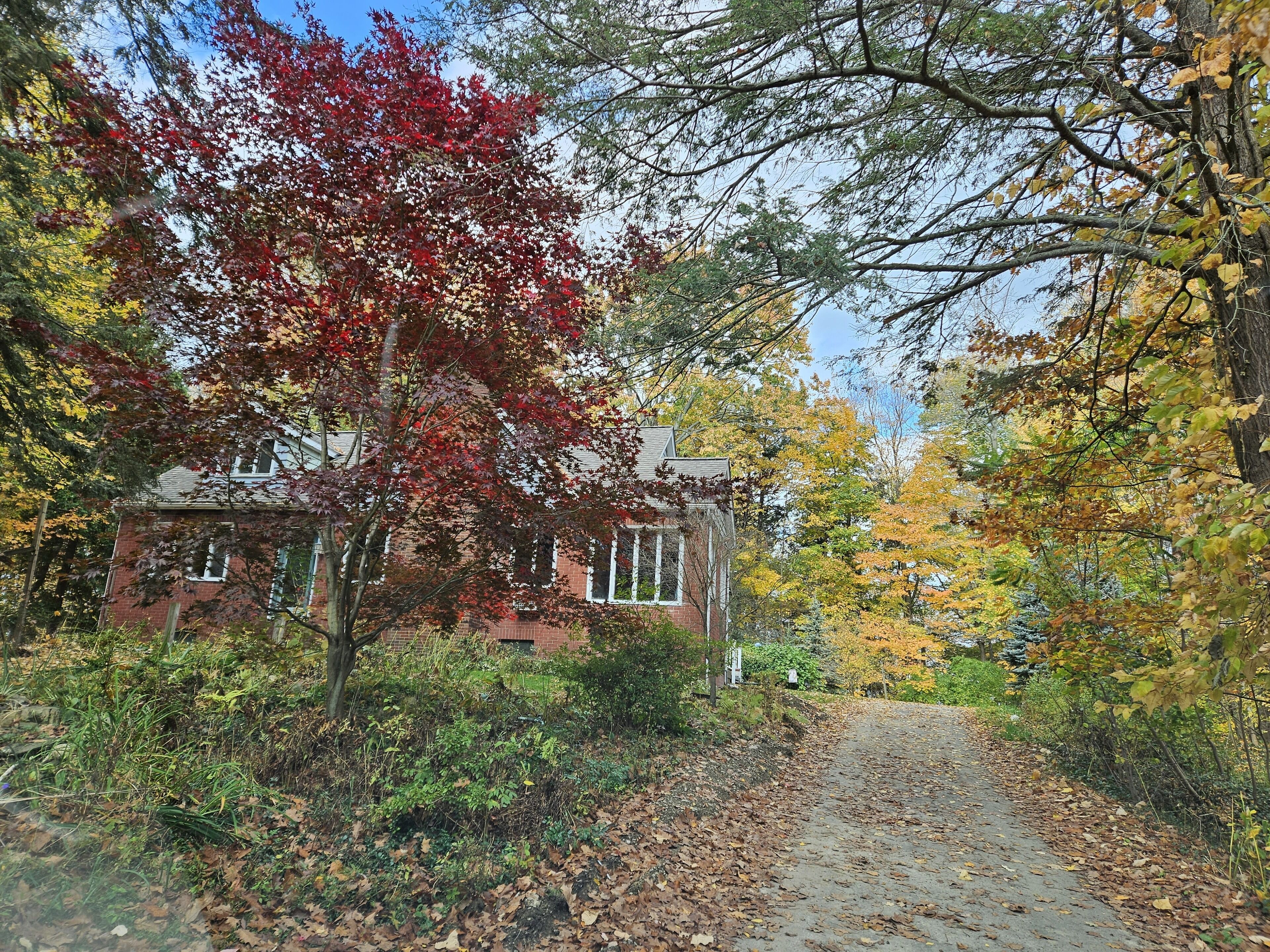 NESTLED IN THE WOODS