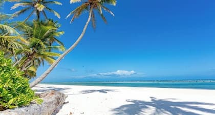 Family and Renovated Villa in Punta Cana Near Beach - Maid and cooking included