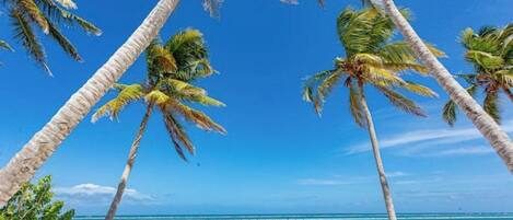 Liegestühle, Strandtücher