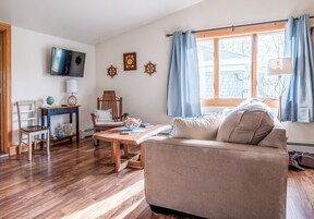 City Apartment, 1 King Bed with Sofa bed, Kitchen | Living area | 52-inch flat-screen TV with digital channels, Netflix, Hulu