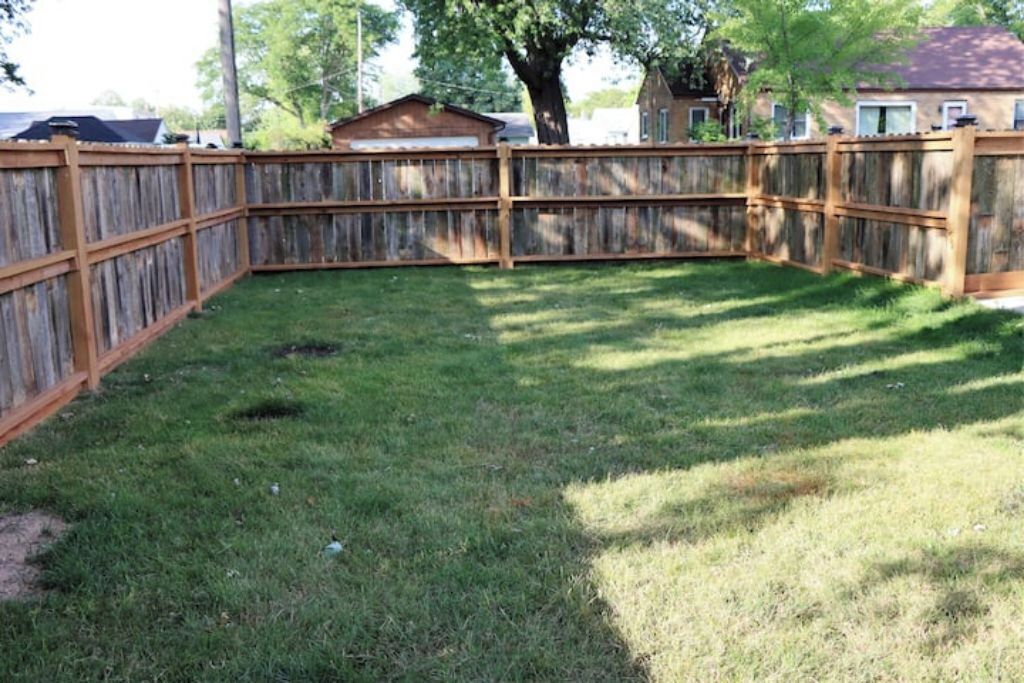 A fenced backyard with a grassy lawn and a small shed.