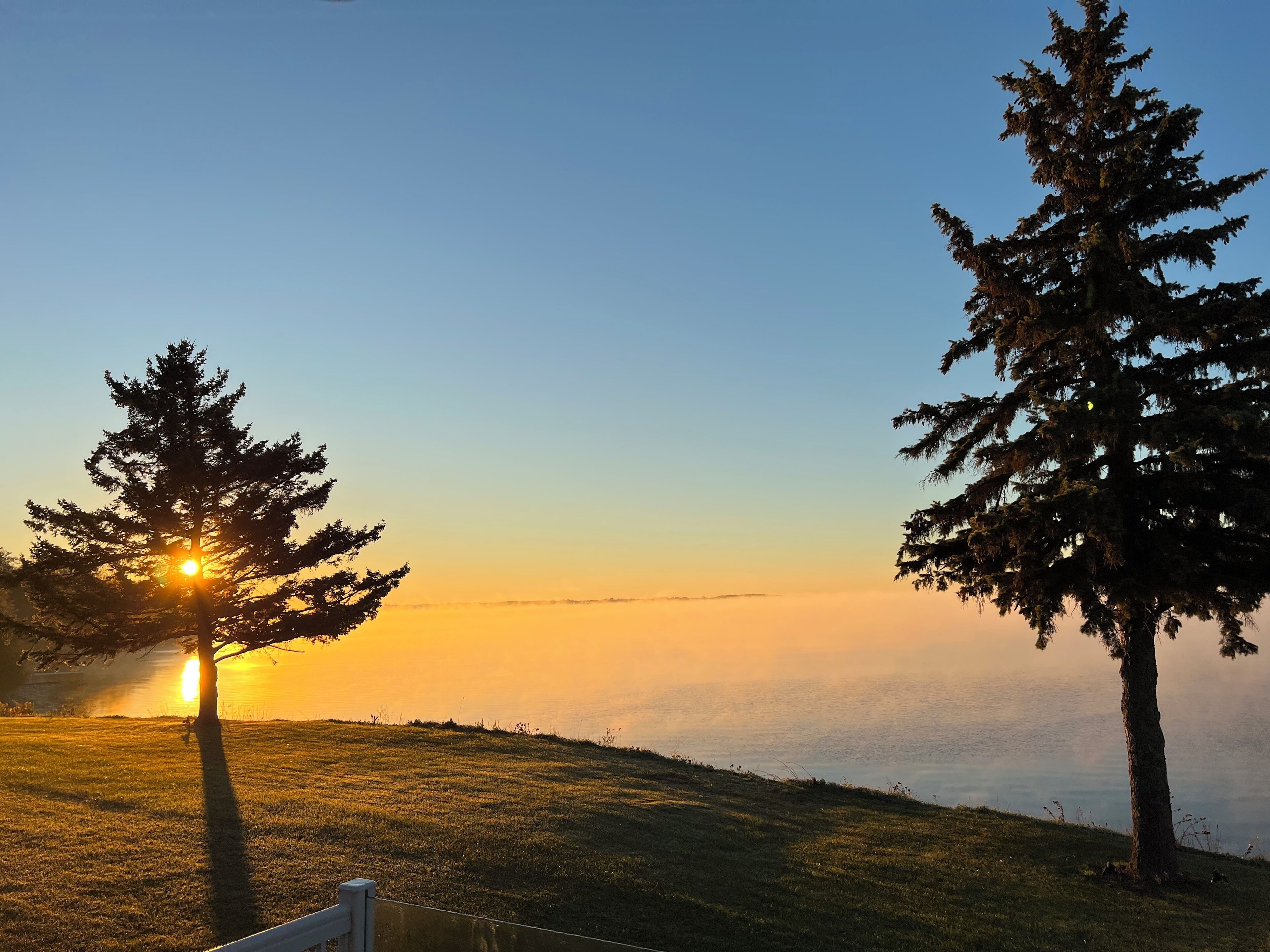 A sunset view with two prominent trees and a body of water in the background.