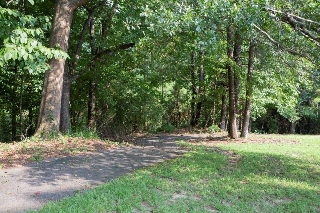 A paved path in a wooded area with trees and grass.