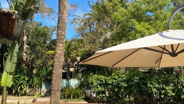 Ein Poolbereich mit Palme, Liegestühlen und einem großen Sonnenschirm.
