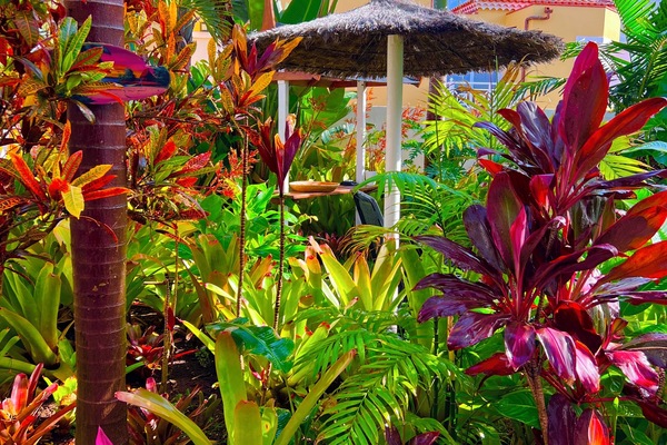 Àrea exterior de l'allotjament