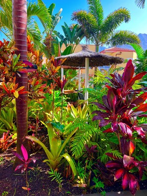 Un jardín tropical con un quiosco de techo de paja, abundante vegetación y un edificio con techo de tejas rojas al fondo.