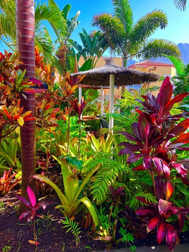 Cozy townhome in beautiful Bajamar with WiFi, AC