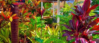 Cozy townhome in beautiful Bajamar with WiFi, AC