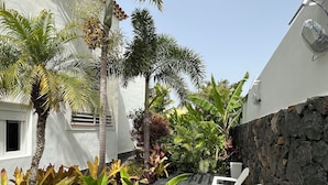 Un patio con sillas blancas, un muro de piedra y plantas tropicales.