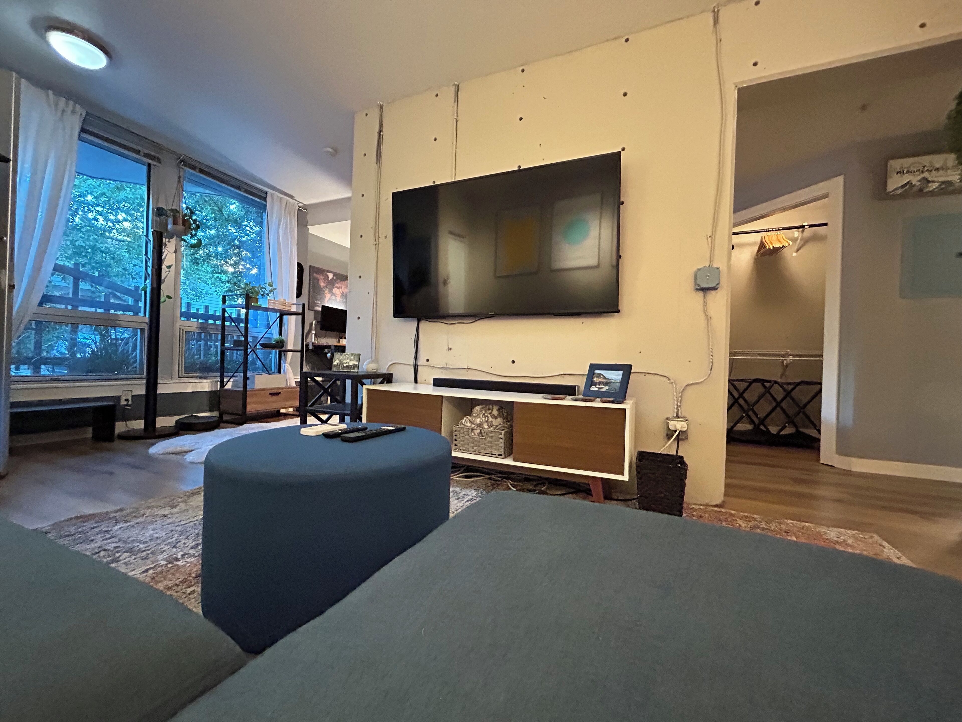 Smart TV, books, stereo, computer monitors