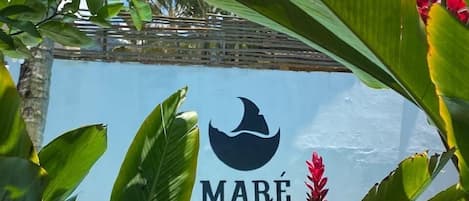 A pool area with a sign reading "MARE ALTA MARESIAS" and tropical plants.