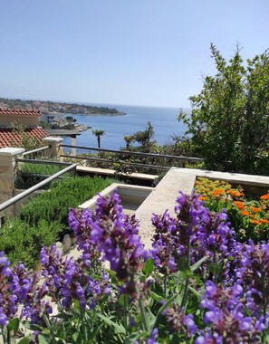 Leilighet, røyk | 1 soverom