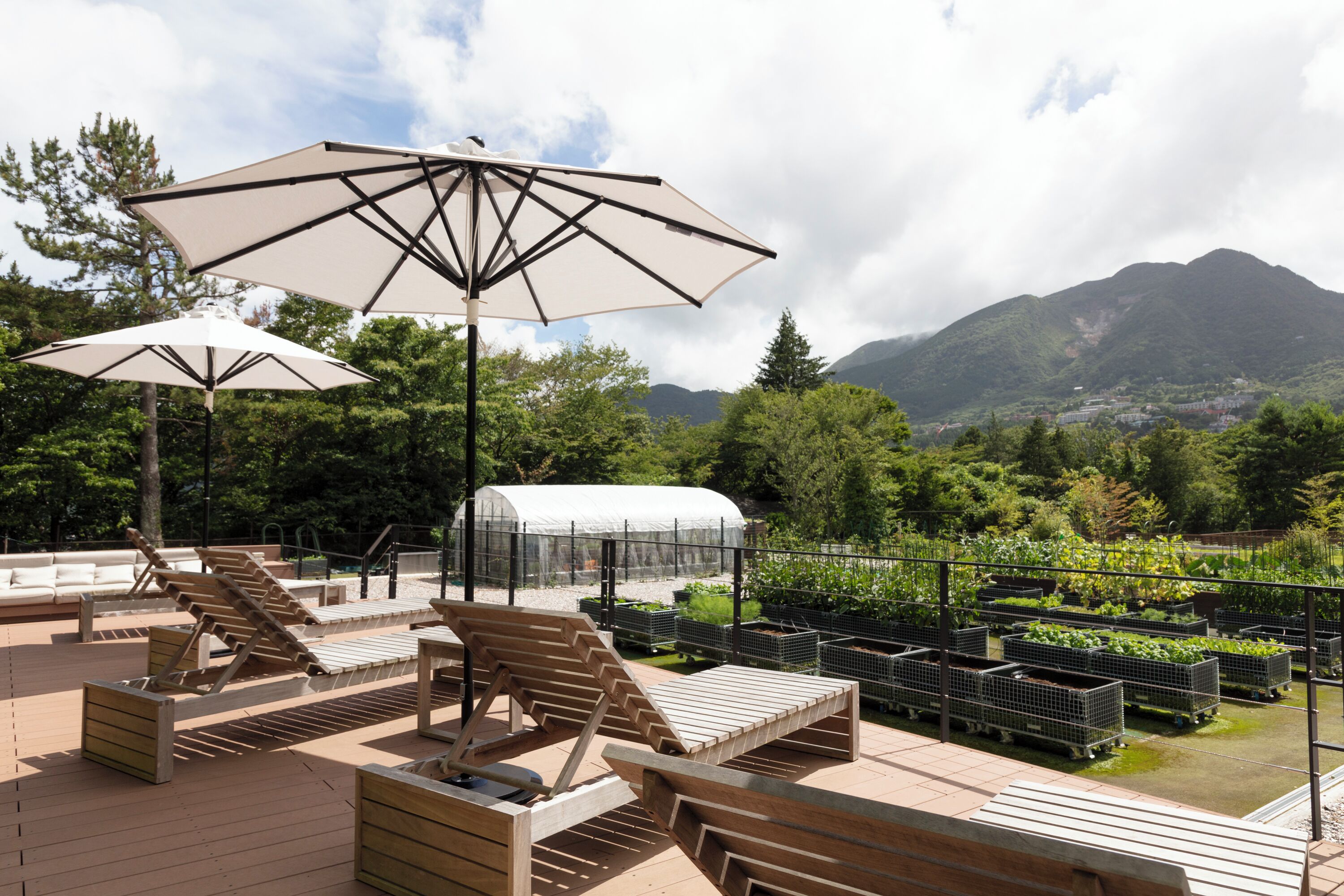 Une terrasse sur le toit, dotée de chaises longues en bois et de grands parasols, entourée de verdure et d’une serre.