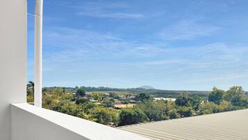 Special Access King or Twin Room | Terrasse/Patio