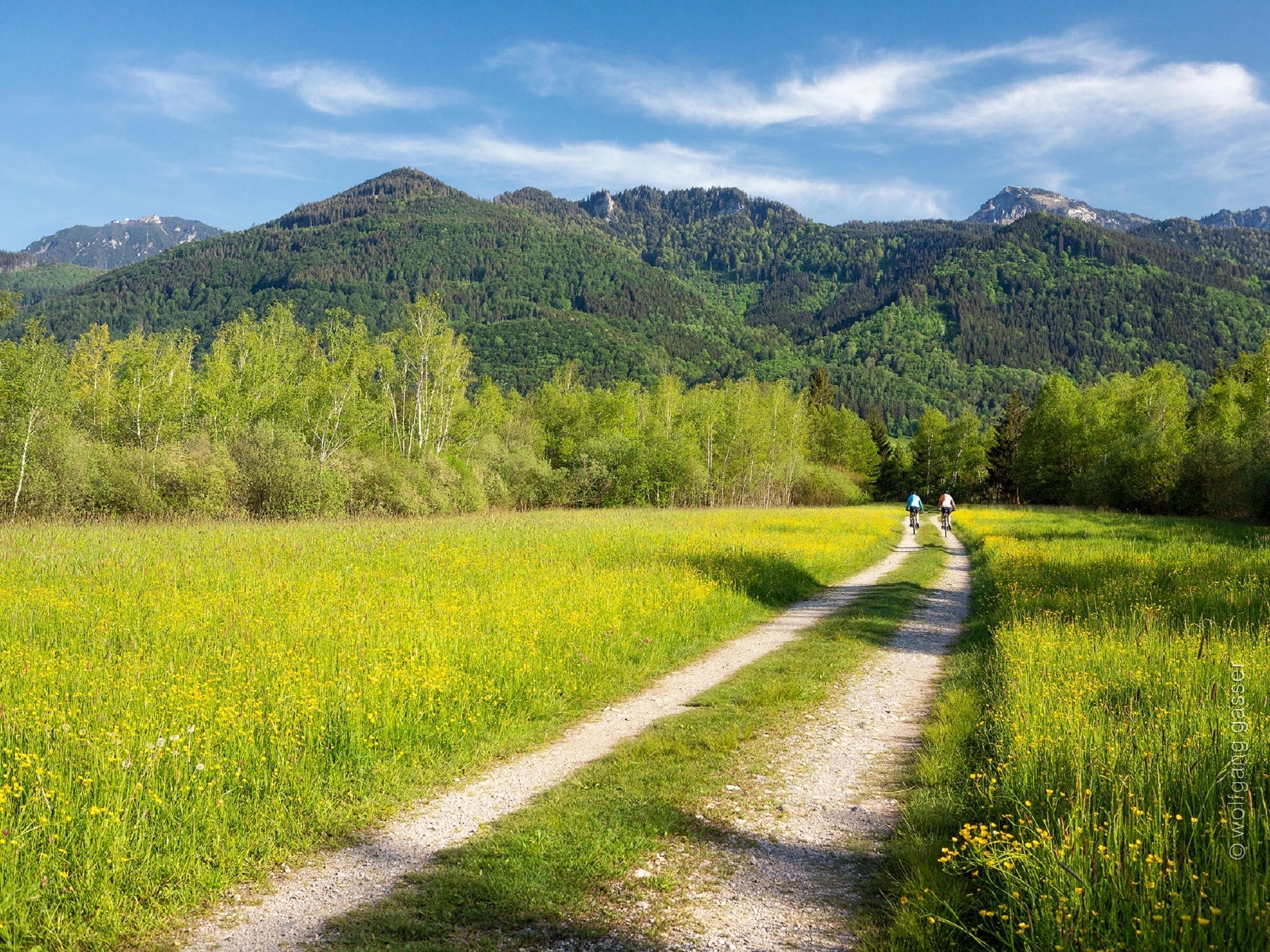 Um caminho de terra em um campo, com montanhas ao fundo.