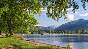 Vista al lago con un árbol grande, agua tranquila y montañas al fondo.