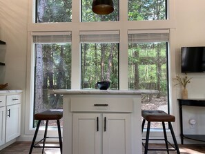 Interior - Cabin in the piney woods of East Texas, near lakes and state parks. (Mount Vernon)