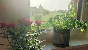 A window with a view of a green field and a building in the distance. - Studio apartment for 2 persons with terrace, 34 m² (Inzell)