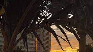 Une vue au coucher du soleil, avec des palmiers, une clôture blanche et un bâtiment en arrière-plan.