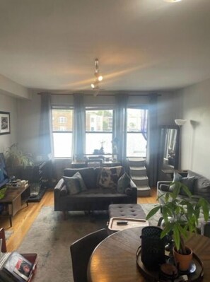 Living area - Serene Chic in Ravenswood Manor! 20 mins to Grant Park or Wrigley Field! (Chicago)
