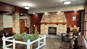 Un salon chaleureux avec des murs en pierre, une cheminée, des canapés en cuir et une table basse blanche agrémentée de plantes.