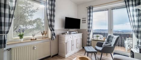 テレビ、DVD プレーヤー、ステレオ