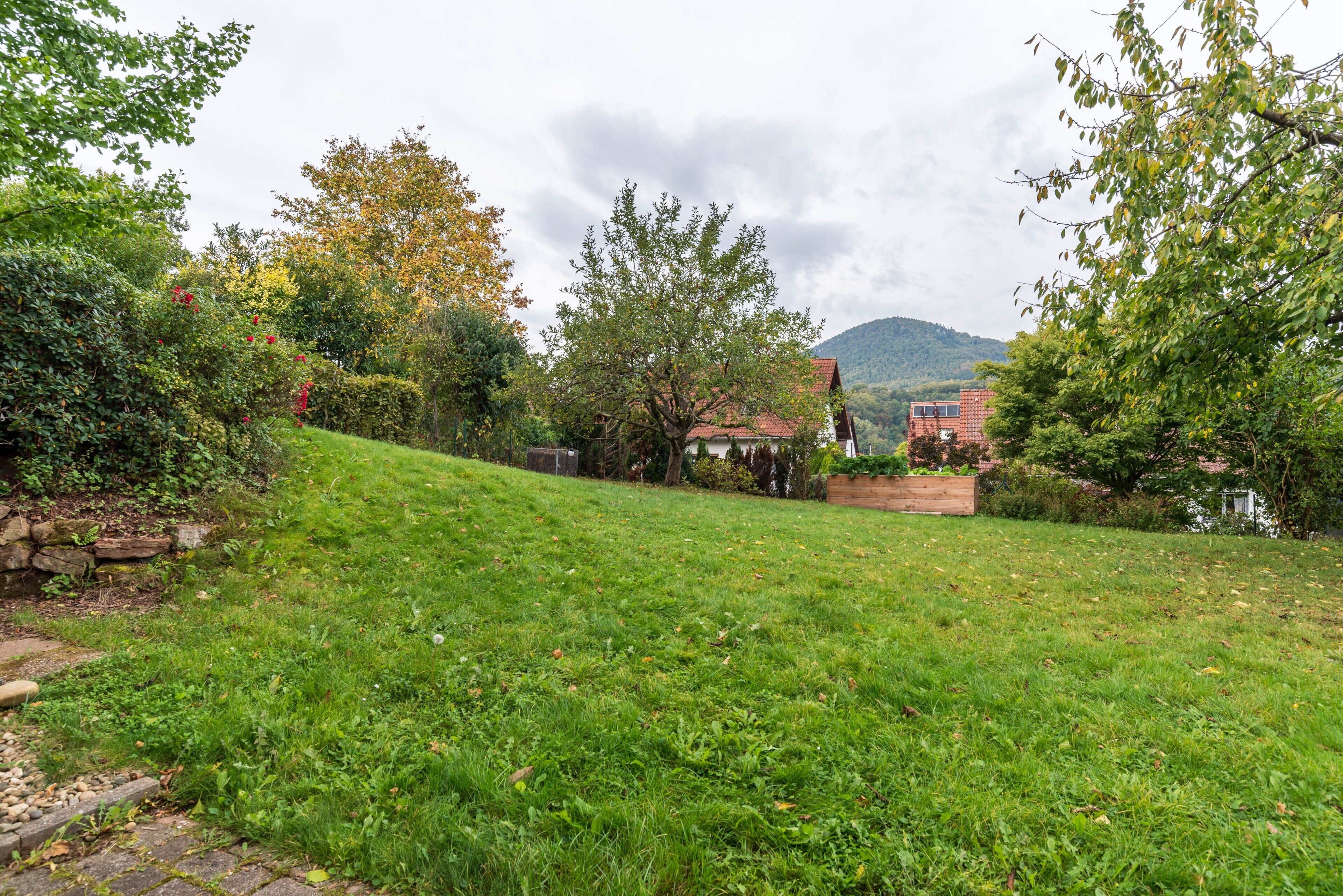 A grassy area with trees and a house in the background.
