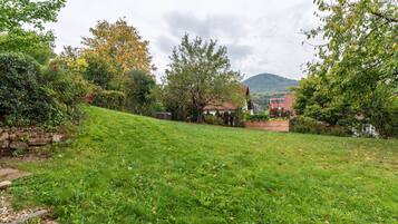 A grassy area with trees and a house in the background.
