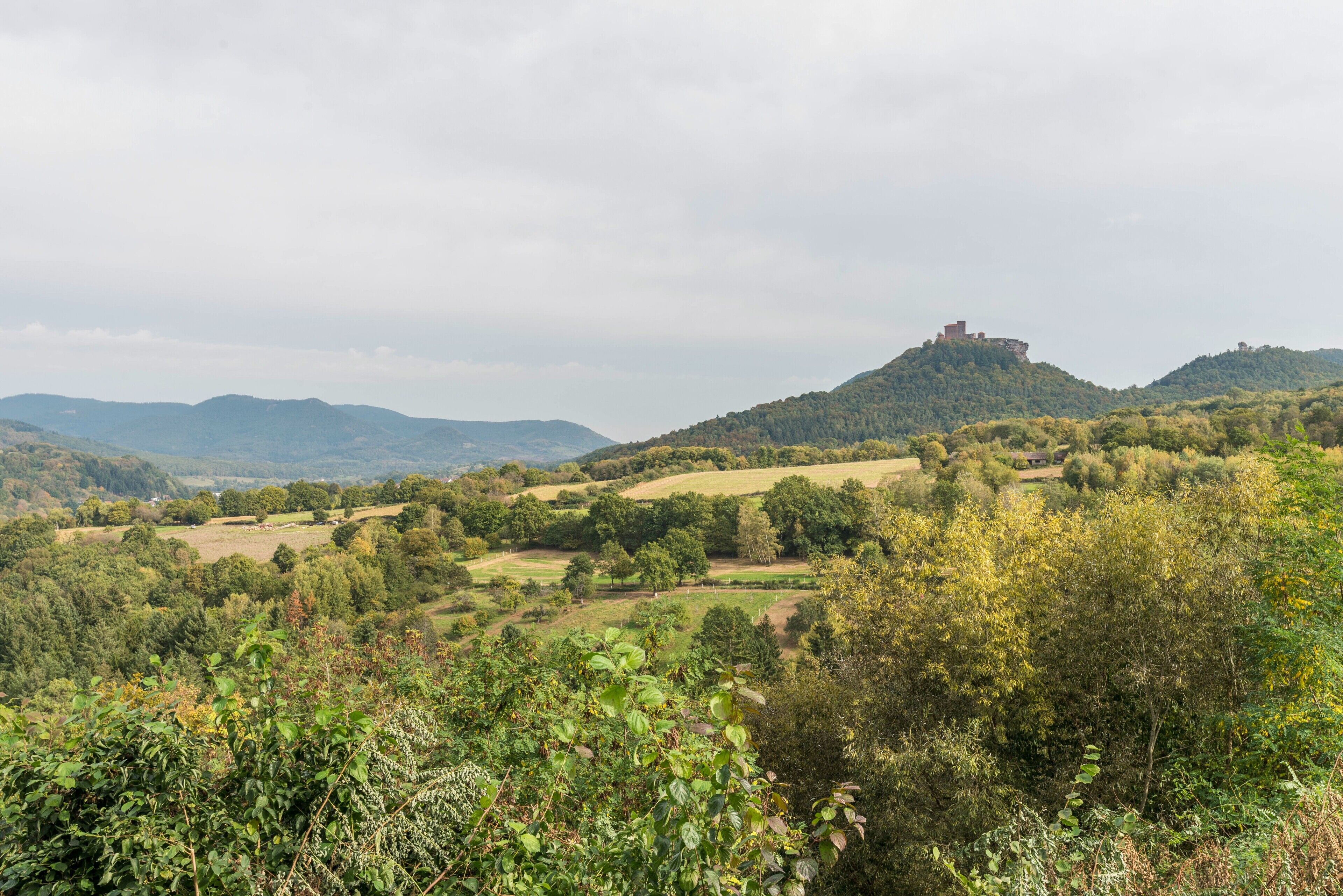 A landscape with rolling hills, a castle on a hill, and dense greenery.