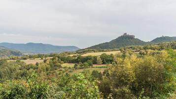 A landscape with rolling hills, a castle on a hill, and dense greenery.