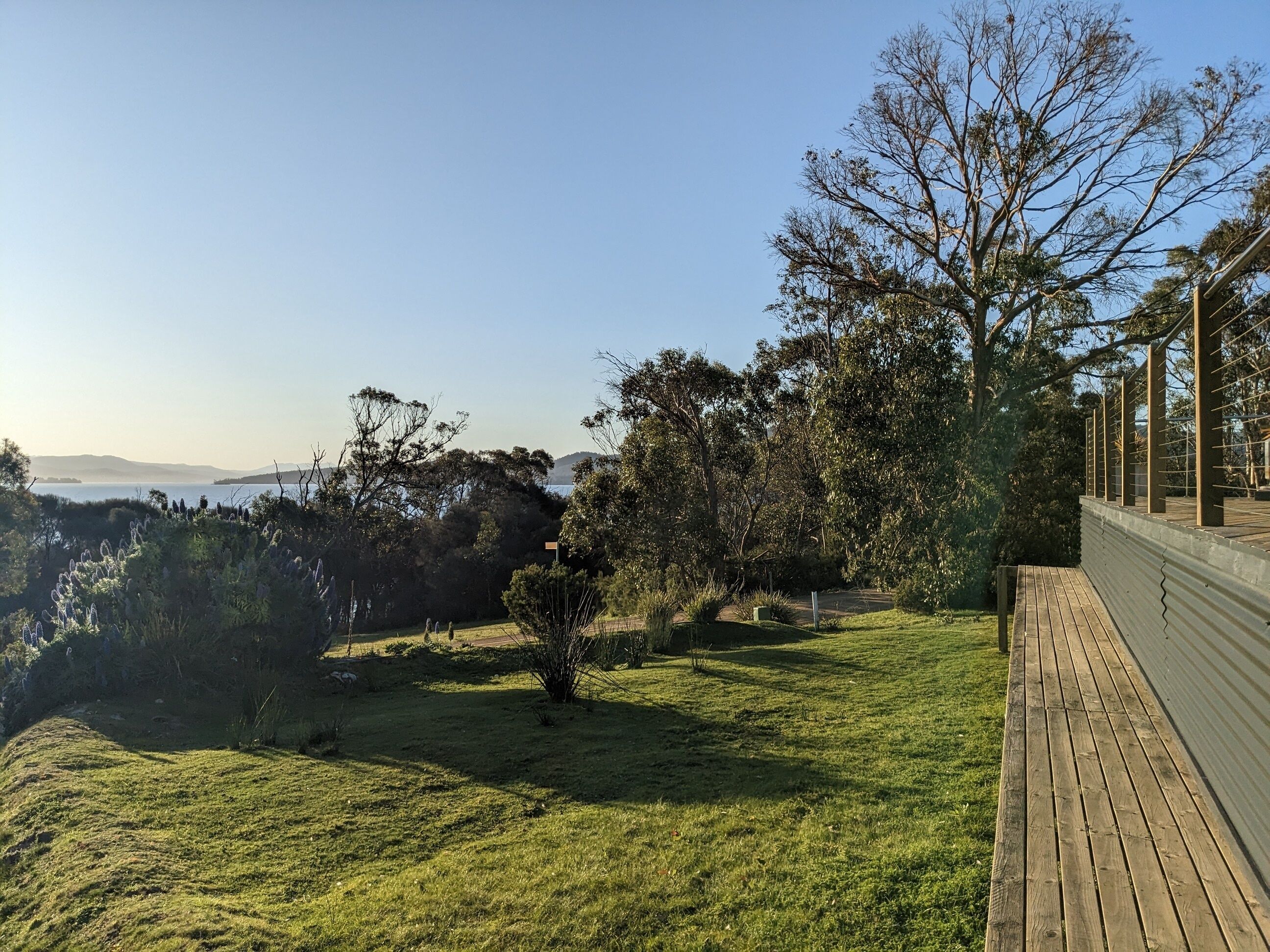 A grassy area with a wooden deck and a view of the sea.