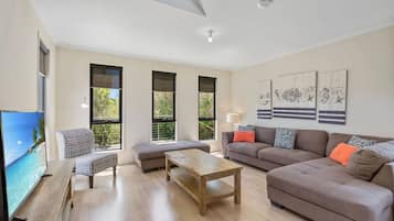 TV, fireplace, books