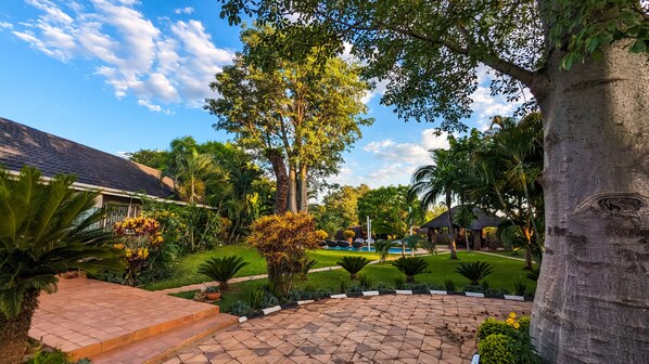 A landscaped garden with a swimming pool, a large tree, and a building with a tiled roof.
