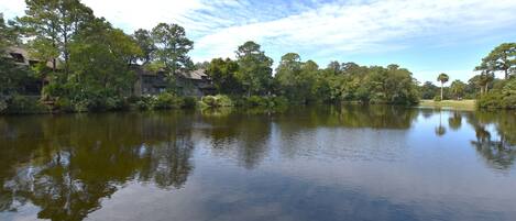 Combined shower/tub, hair dryer, towels, toilet paper