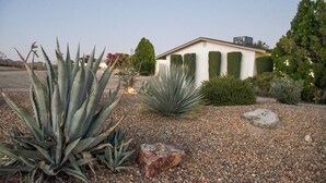 Un jardín desértico con plantas de agave y un edificio con columnas de azulejos verdes.