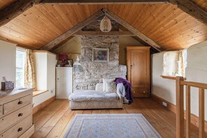 TV, fireplace, DVD player, books