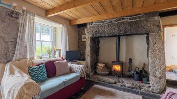 TV, fireplace, DVD player, books