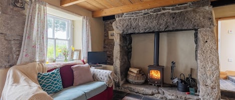 Fernseher, Kamin, DVD-Player, Bücher