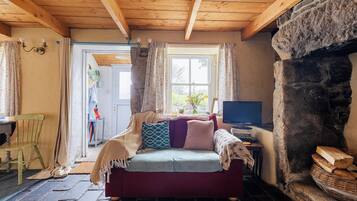 TV, fireplace, DVD player, books