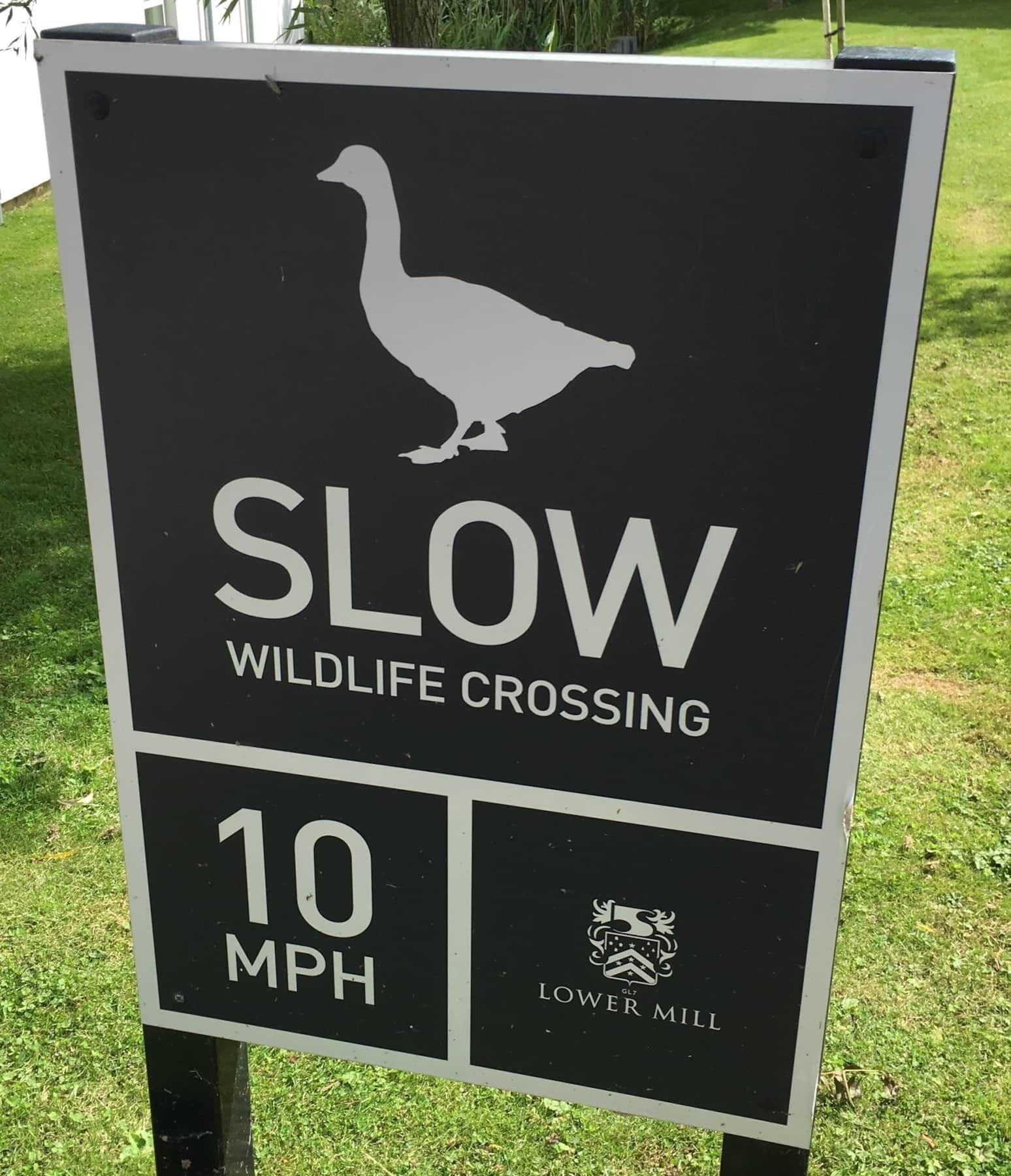 Placa de travessia de animais selvagens com silhueta de pato, texto 'ATENÇÃO: ANIMAIS SELVAGENS NA PISTA' e limite de velocidade de 10 MPH.