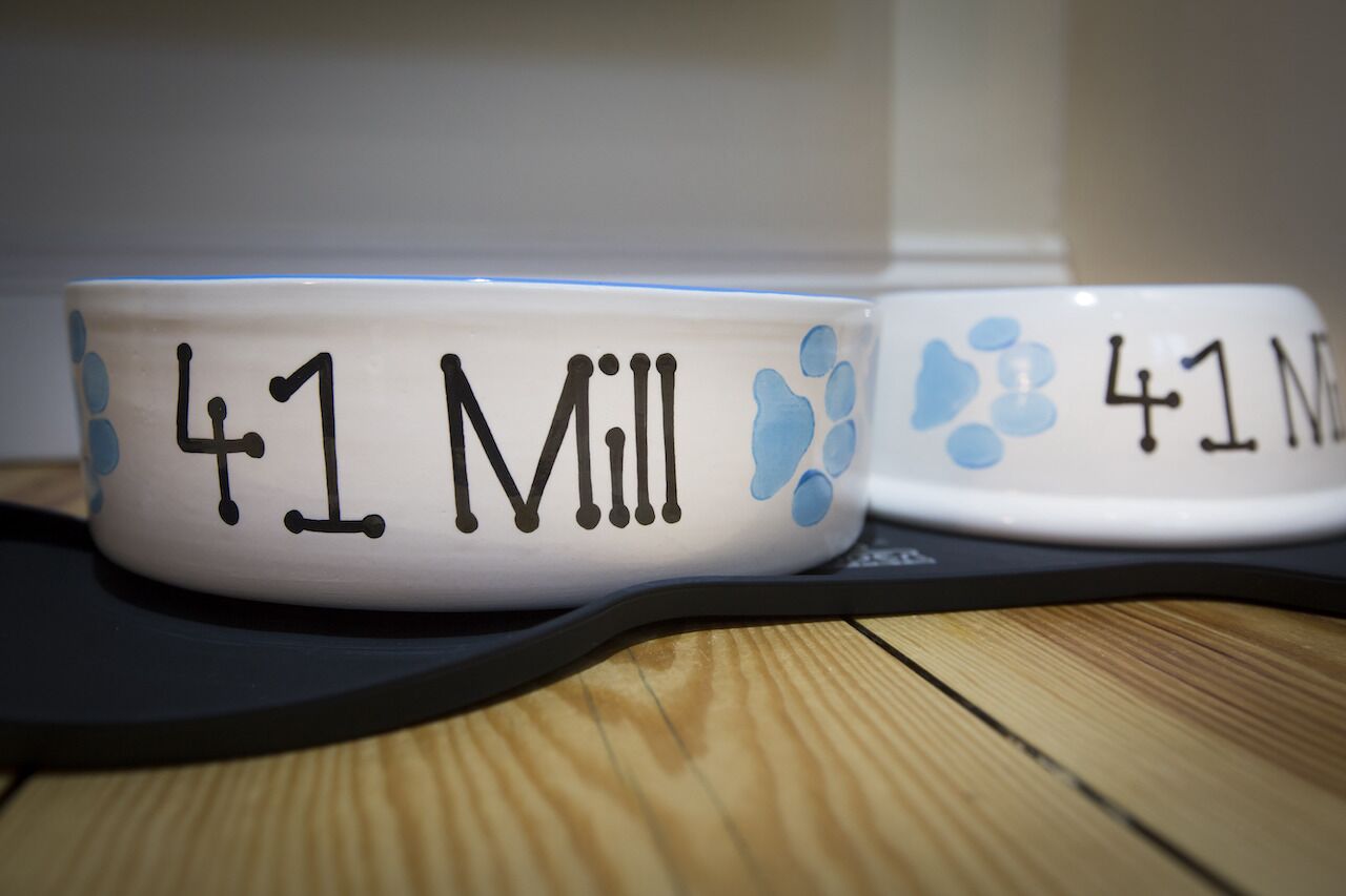 Two pet bowls with the number 41 and the word "Mill" on them.