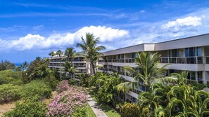 Exterior - Maui Banyan- 1BR Garden View - Full Kitchen/Beach across the street/Free Parking (Kihei)