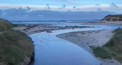 Moulin Chaleureux en Bord de mer