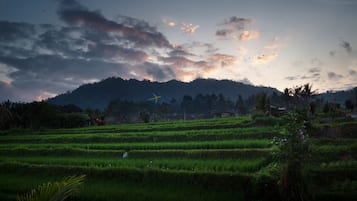 Pemandangan sekitar dari properti