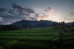 Blick auf die Umgebung